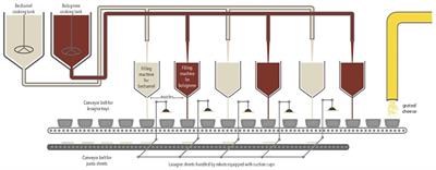 Evaluation of Enzymatic Cleaning on Food Processing Installations and Food Products Bacterial Microflora